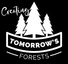 creating tomorrow's forests. Reducing our carbon footprint by planting trees.